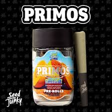 Photograph of product: Seed Junky - Bubble au chocolat Infused Pre-Roll 5pk - Sour Shotz Primos