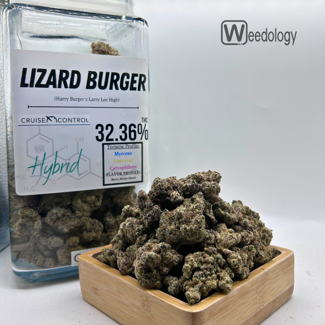 Photograph of product: Lizard Burger (H) - 28g