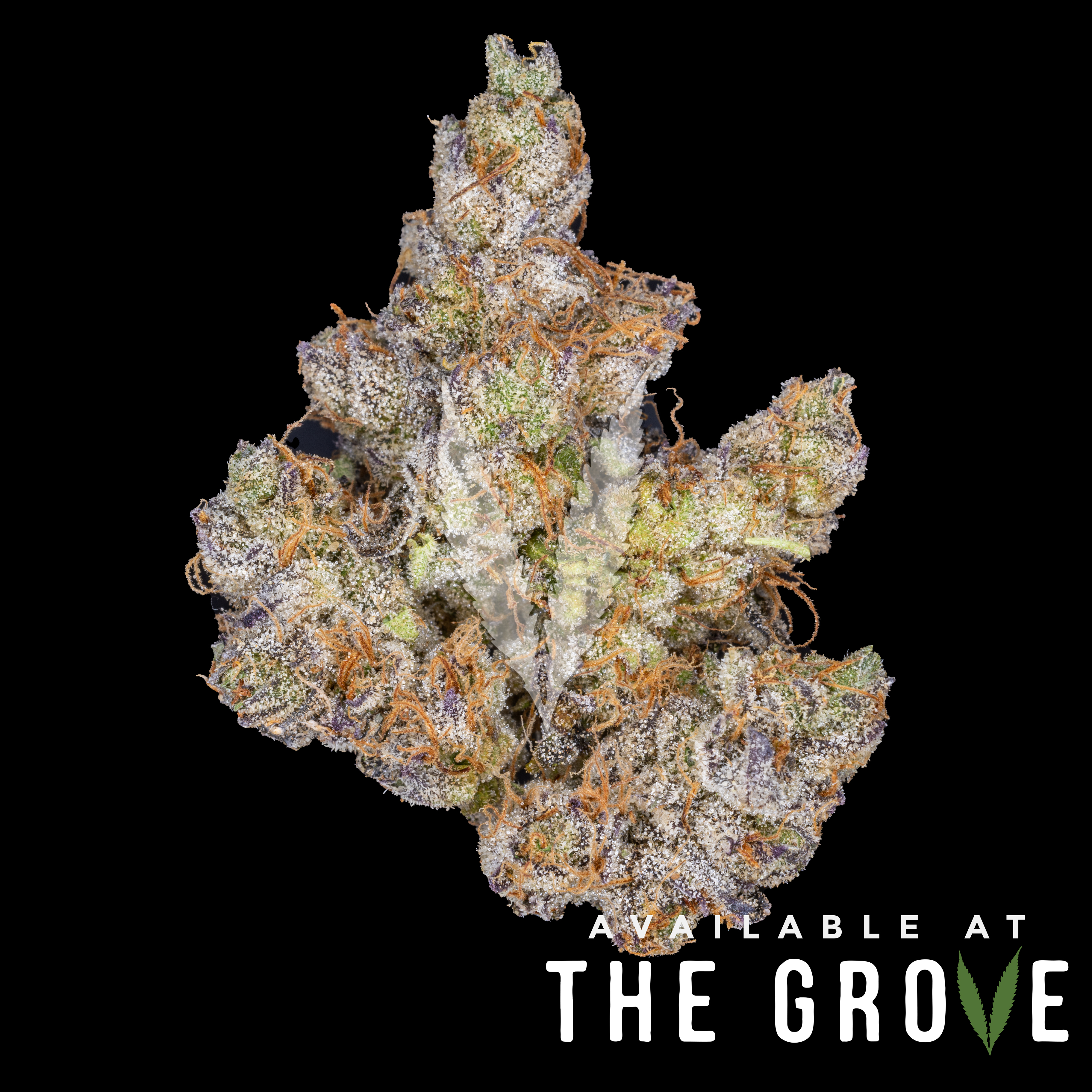 Photograph of product: BLEM | Graype 1/8ths - 3.5g