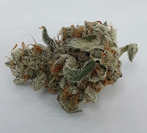 Photograph of product: Forbins Finest | Pegasus Poop | Indoor | Coco Coir | Bulk - 28g