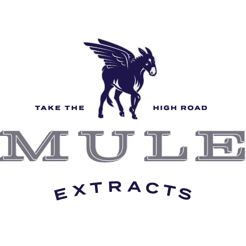 Photograph of product: Mule-100mg Dragonfruit 1:1 TH-oui/CBD Gummy