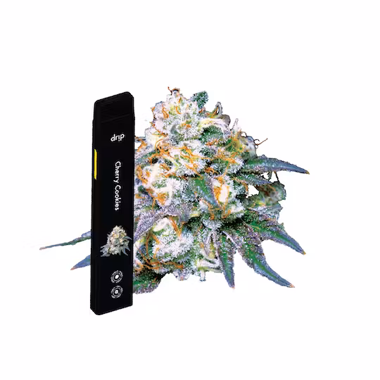 Photograph of product: Drip Green Crack Disposable Vape