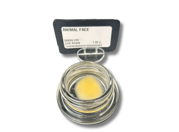 Photograph of product: ANIMAL FACE | LIVE RESIN