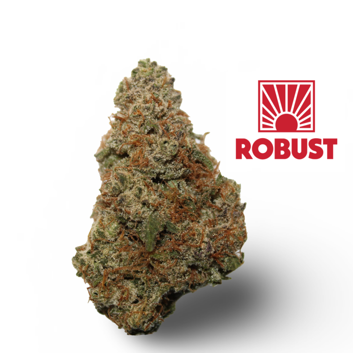 Photograph of product: Robust | Raspberry Parfait #4 - 3.5g