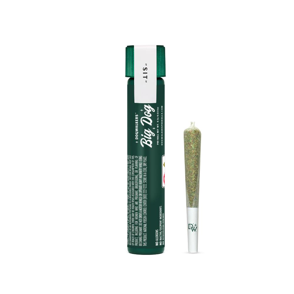 Photograph of product: Mystic Mint I 1g I Pre Roll I Dogwalkers
