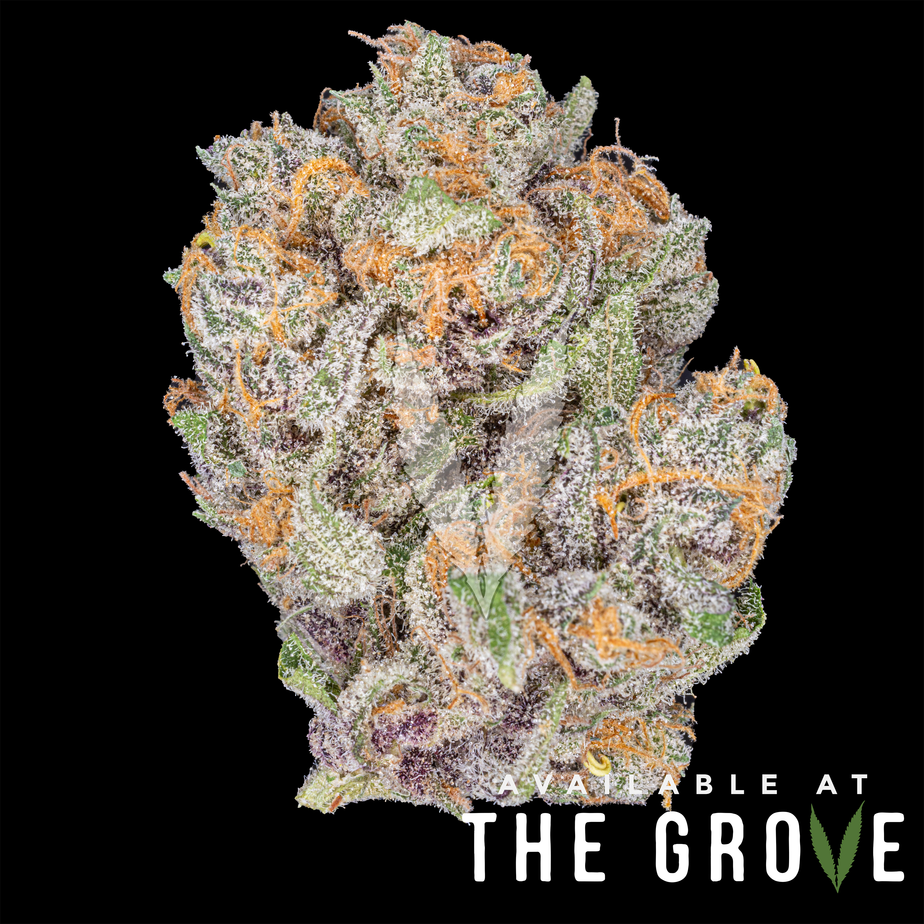 Photograph of Product: Northern Harvest | Blue Razzberry 1/8ths - 3.5g