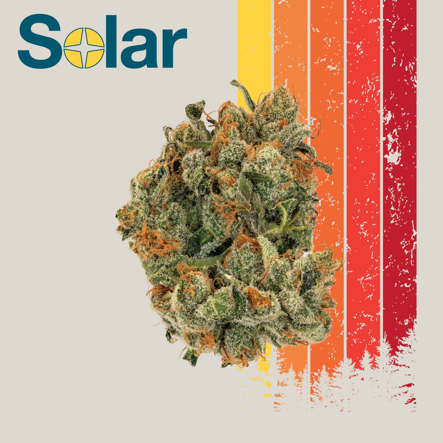 Photograph of product: Hawaiian Snowcone | Solar | 3.5g