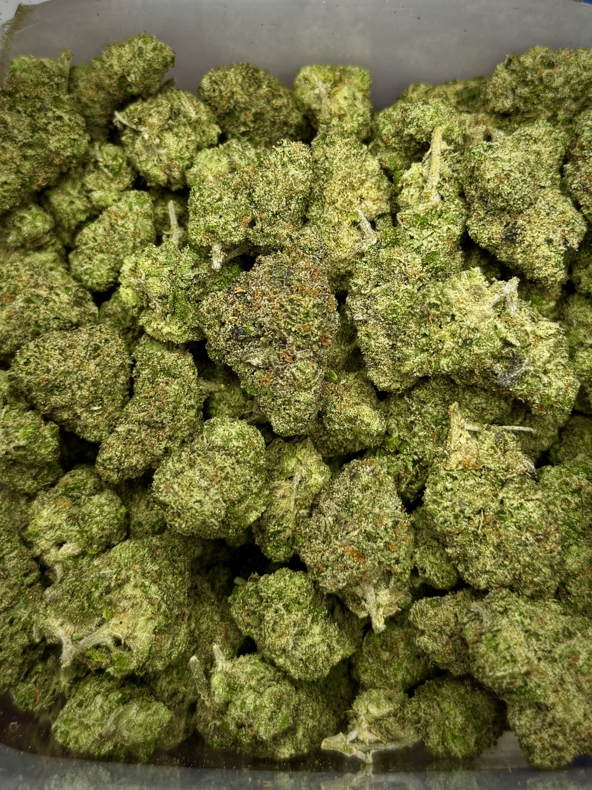 Photograph of product: Watermelon Gelato - Calyx Crafts - 28g