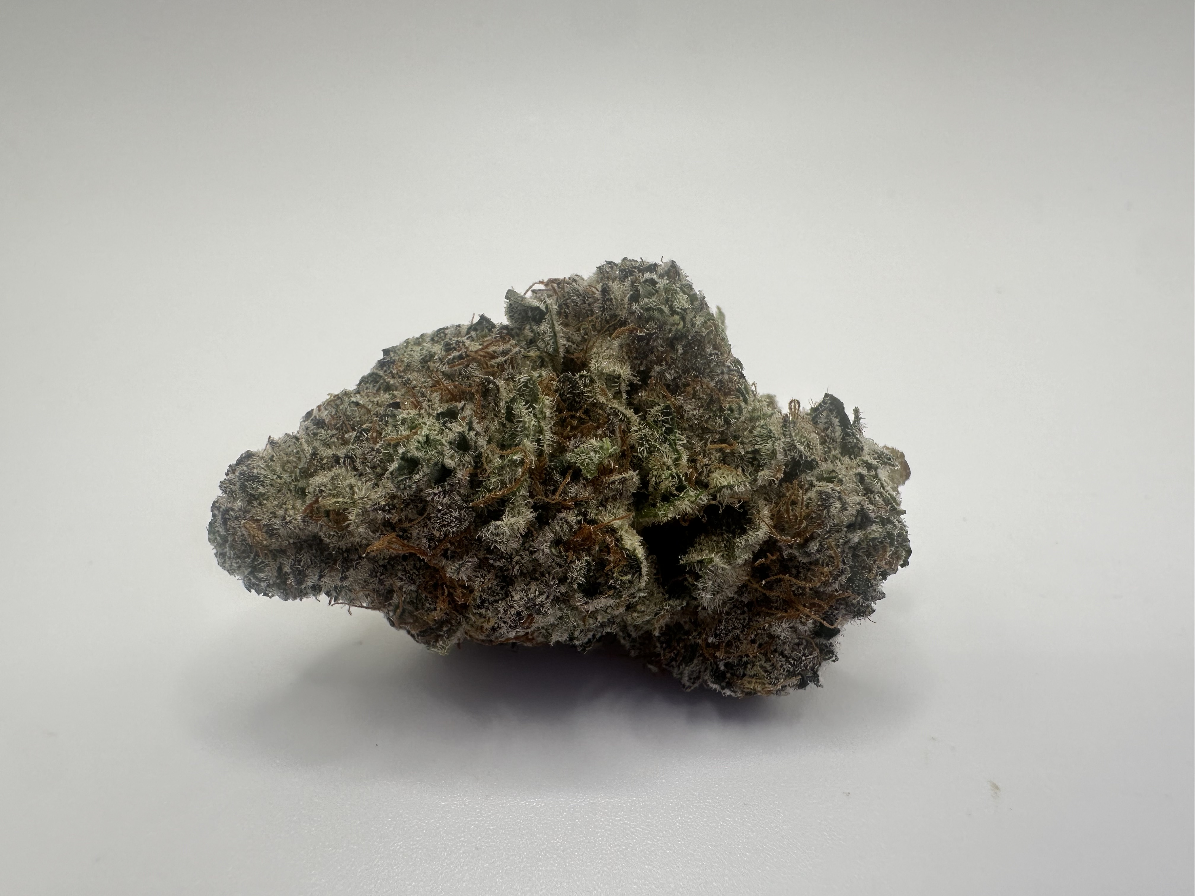 Photograph of product: Neon Sunshine - Indoor - Pre-Packs - 28g