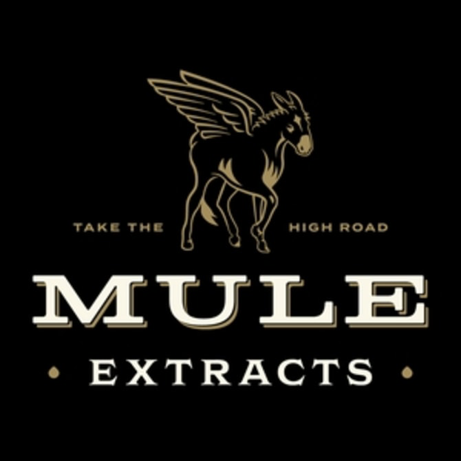 Photograph of product: MULE | KICKER | NIGHT QUAD | SOUR BLACKBERRY LEMONADE