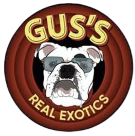 Photograph of product: Gus's Exotics | Fuji Runtz Pre-Pack Flower - 3.5g