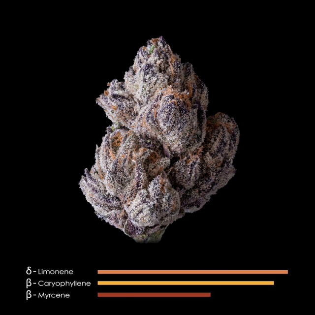 Photograph of product: 1/8 OZ- LIPSMACKERZ- PREMIUM INDOOR