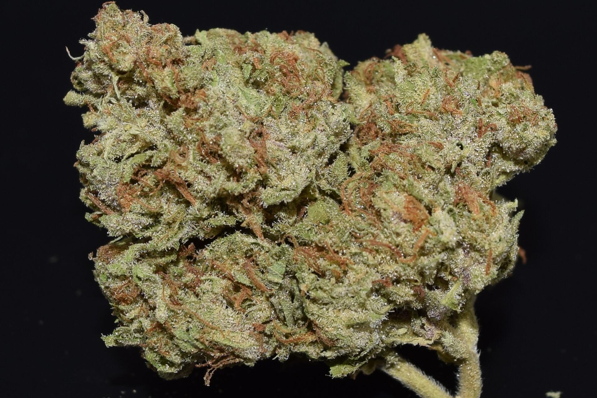 Photograph of product: Cherry Biscotti | Sweet Leaf - 28g