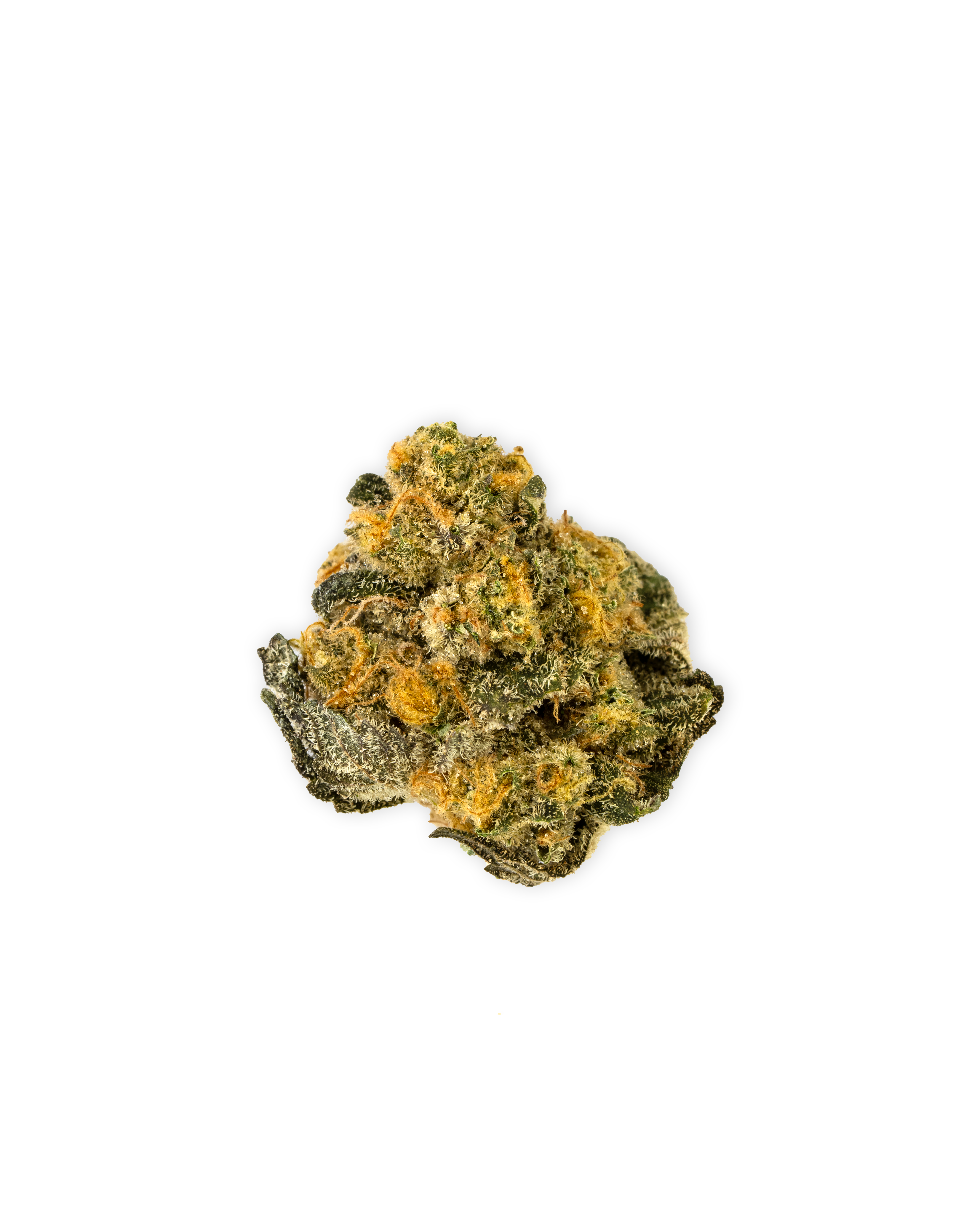 Photograph of product: Indoor HONEY ZANANA | 7 g Smalls - 7g