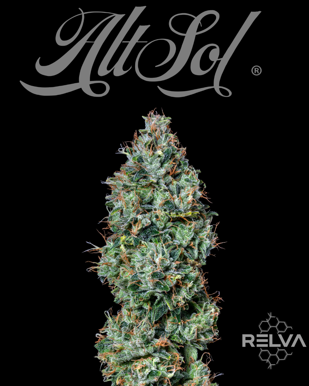 Photograph of product: Alt Sol | Dogwalker - 3.5g