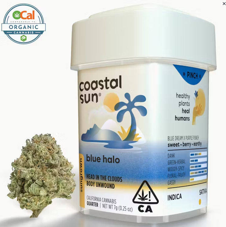 Photograph of product: Coastal Sun Blue Halo Sativa Sungrown Flower 7g