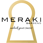 Photograph of Product: MERAKI - INFUSED PREROLL - LIVE RESIN - 1.5G - HYBRID - SHERBANGER