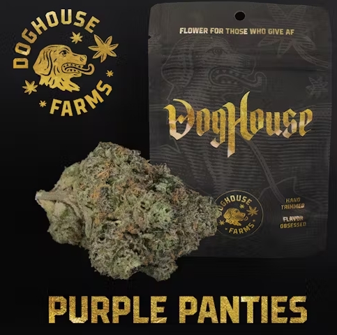 Photograph of product: Purple Panties | DogHouse | Pre-Roll