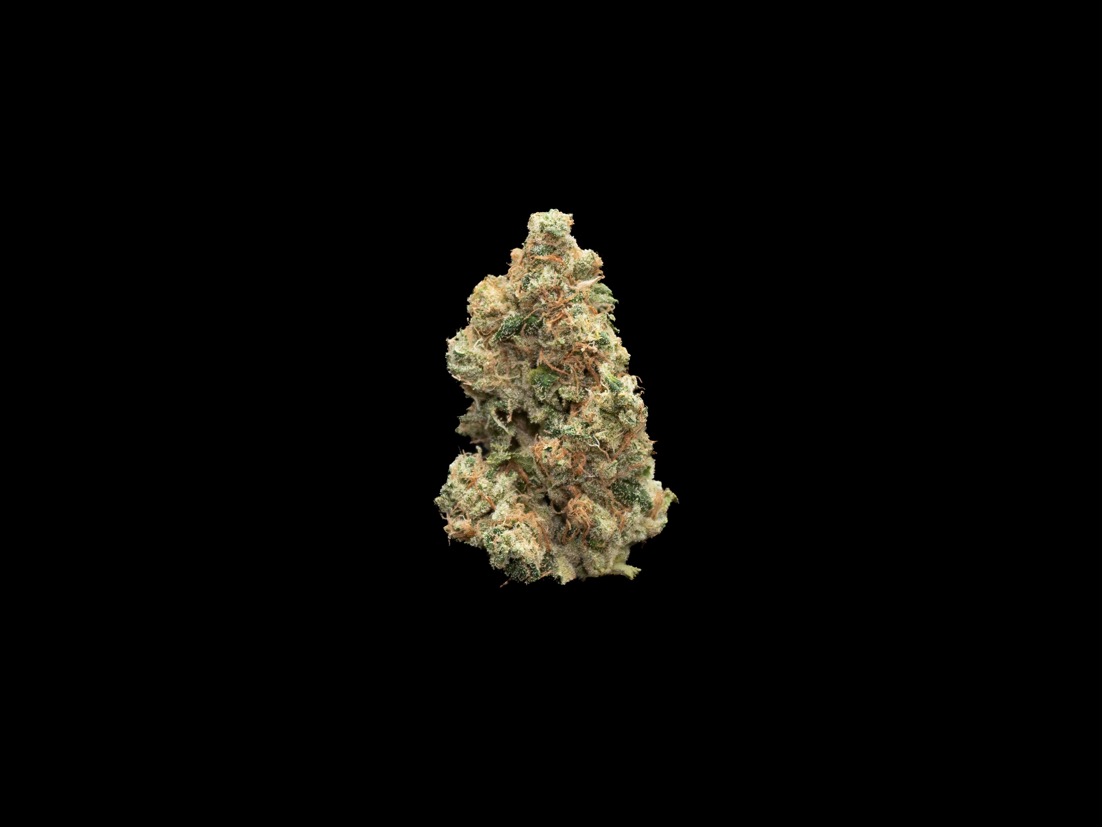 Photograph of product: Pine Sol - Bulk Flower - 28g