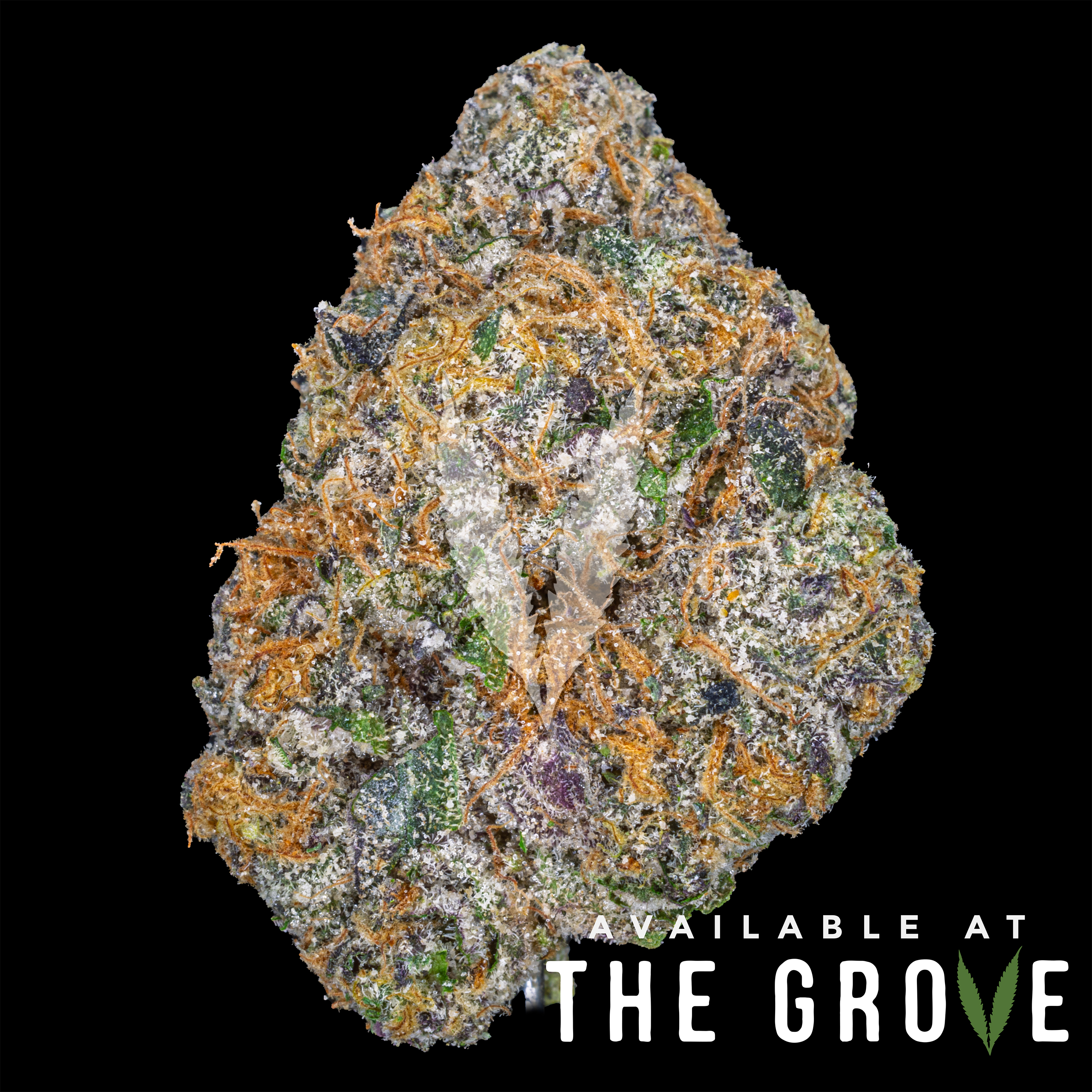 Photograph of product: Ember Valley | Lemon Cherry Pie 1/8th - 3.5g