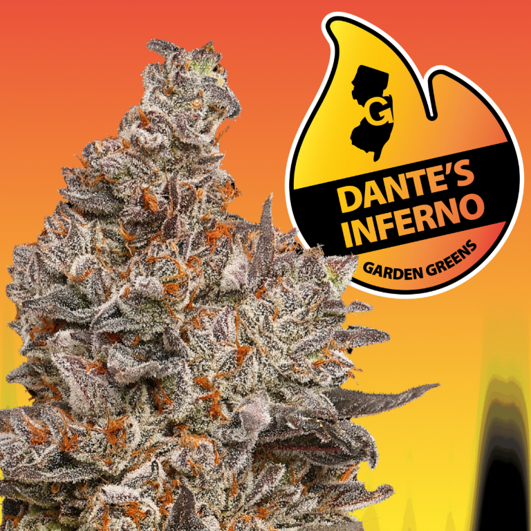 Photograph of product: Garden Greens | Dante's Inferno | Prerolls 5pk