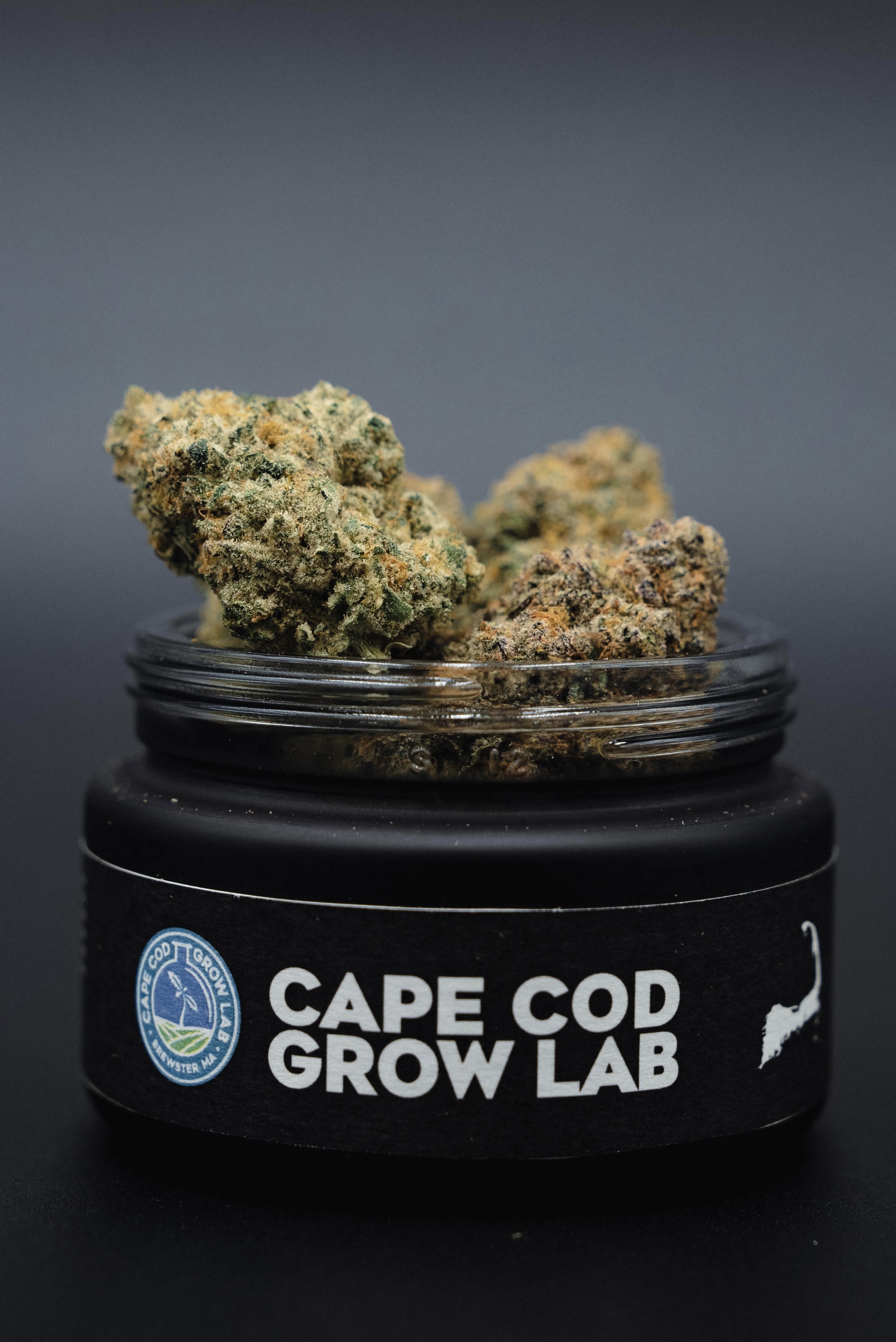 Photograph of product: Cape White Shark | TAX INCLUDED - 28g