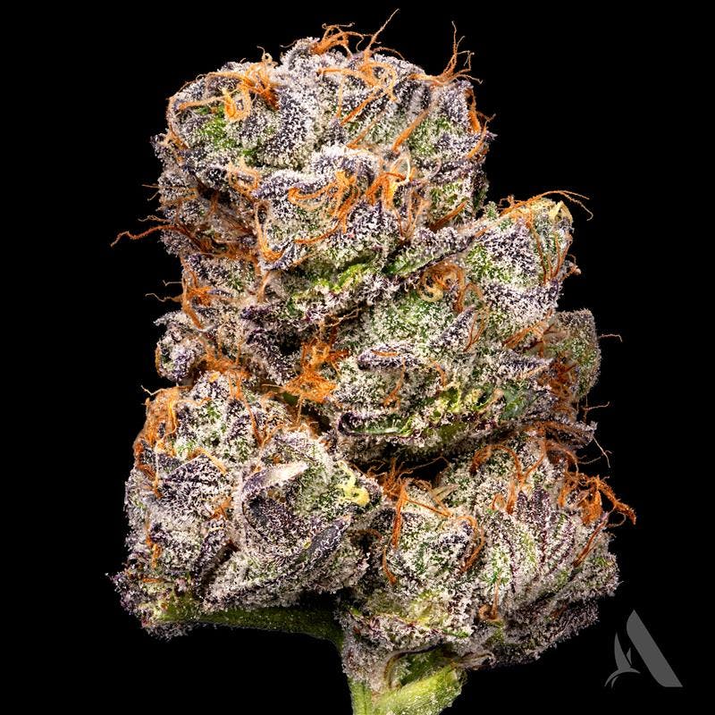 Photograph of product: Affinity Flower 3.5g Grape N' Cream (H)