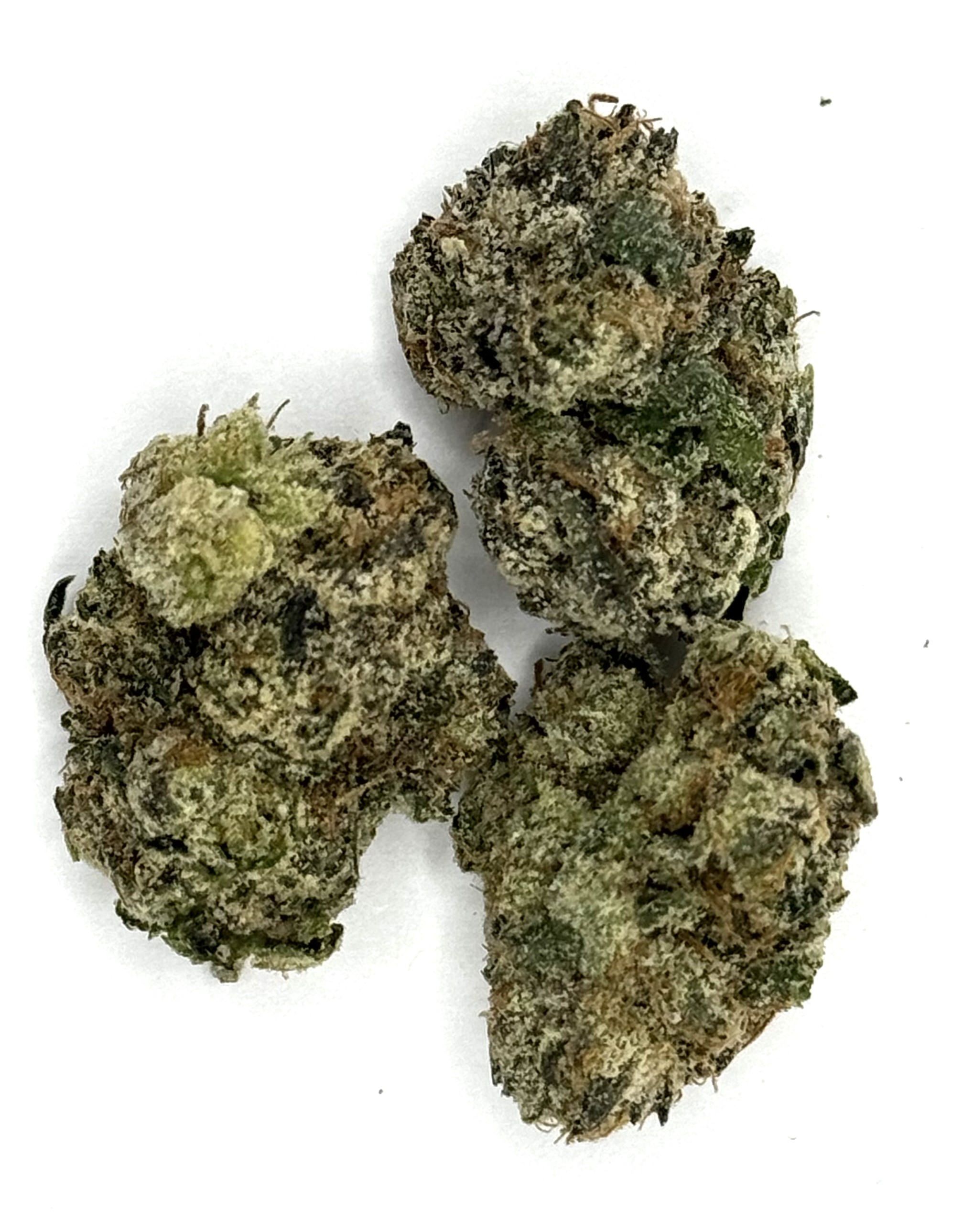 Photograph of product: Gus | The Rizz - 14g