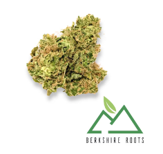 Photograph of product: Berkshire Roots | Orange Chemeleon | 28g