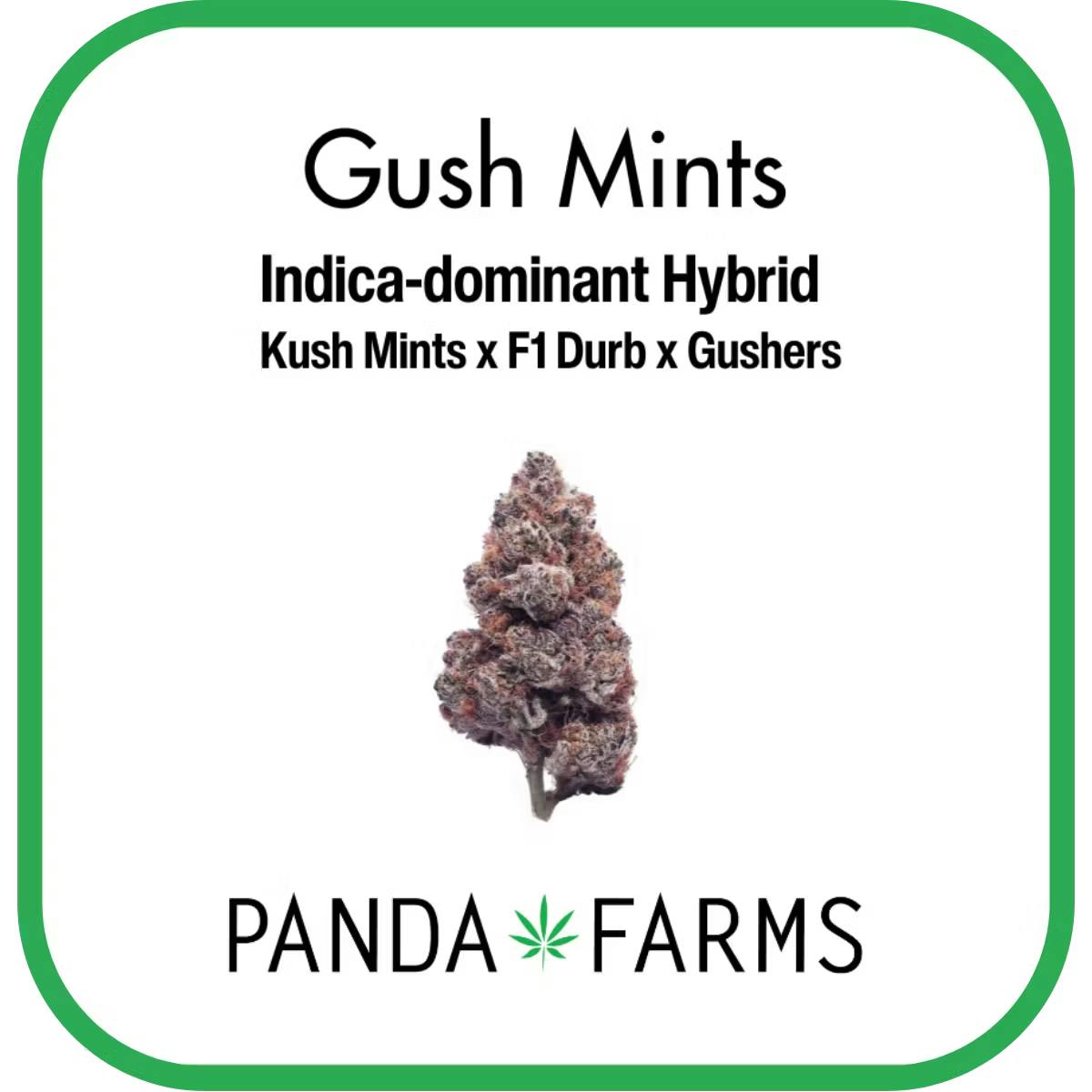 Photograph of product: Flower - Gush Mints - Panda Farms - REC - 3.5g