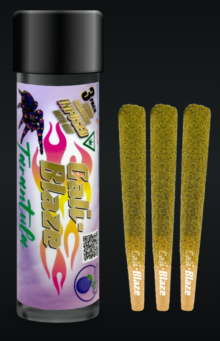 Photograph of product: Blueberry Tarentula | 3G 3PK Infused Pre-roll (TAX INCLUDED)