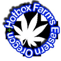 Photograph of product: T Shirt Hotbox Farms Black & Green (2X)