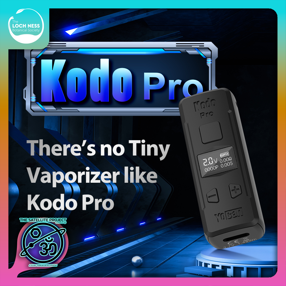 Photograph of product: Kodo Portable Battery | Multi-Color