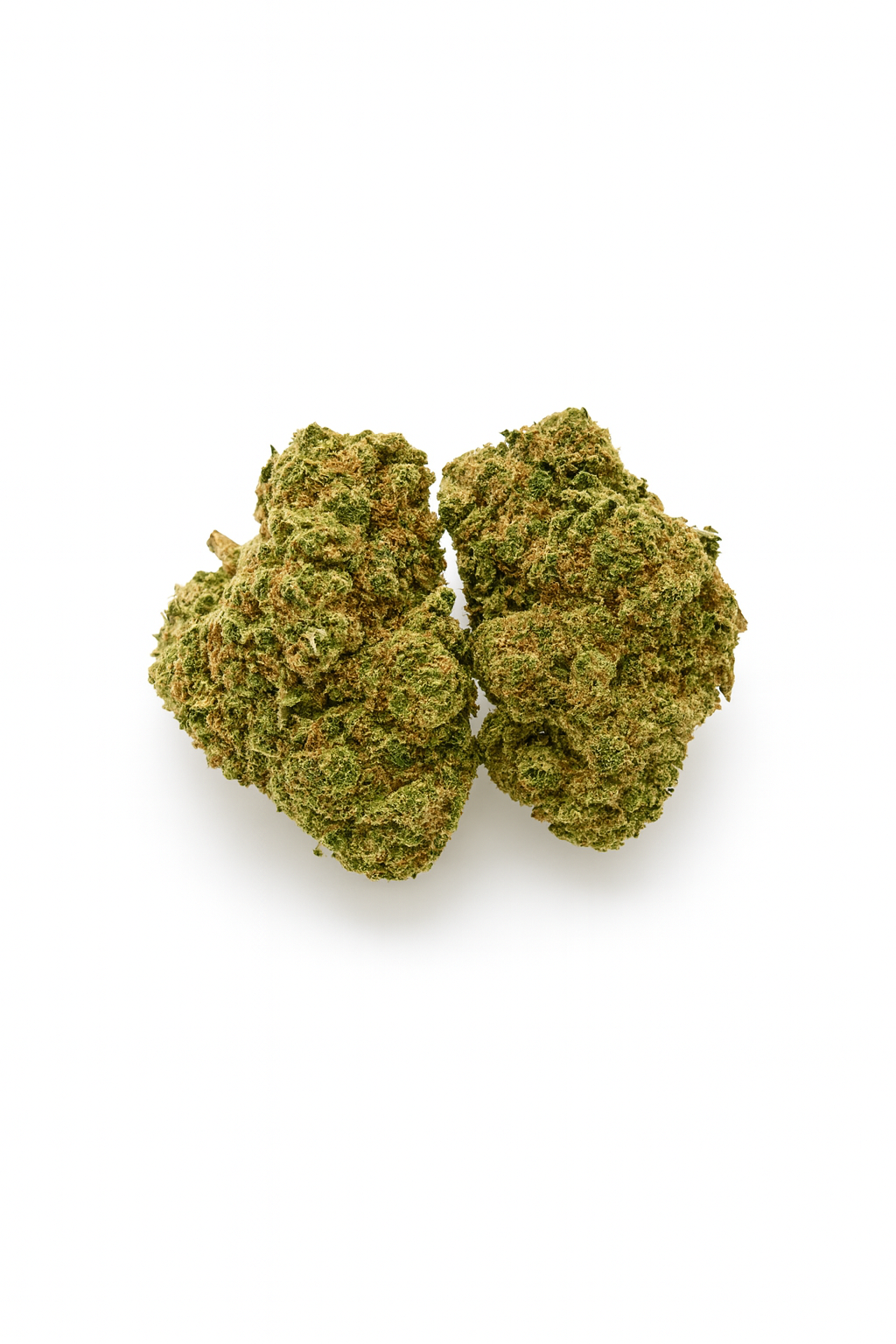 Photograph of product: Wise Trees - Mimosa x Orange Punch - Bulk Flower - 28g