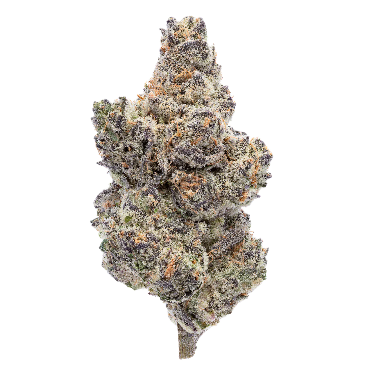 Photograph of product: GMOG 3.5g PP Jars By Michigrown