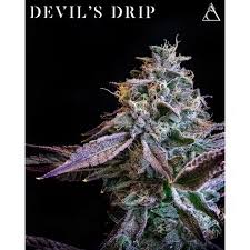 Photograph of product: Mochi Gelato Bulk (H) - 28g