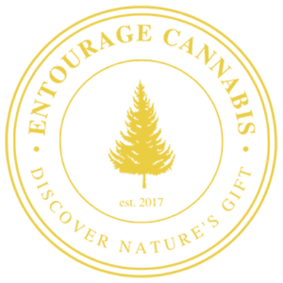 Photograph of product: Entourage Big MAC Live Resin AIO
