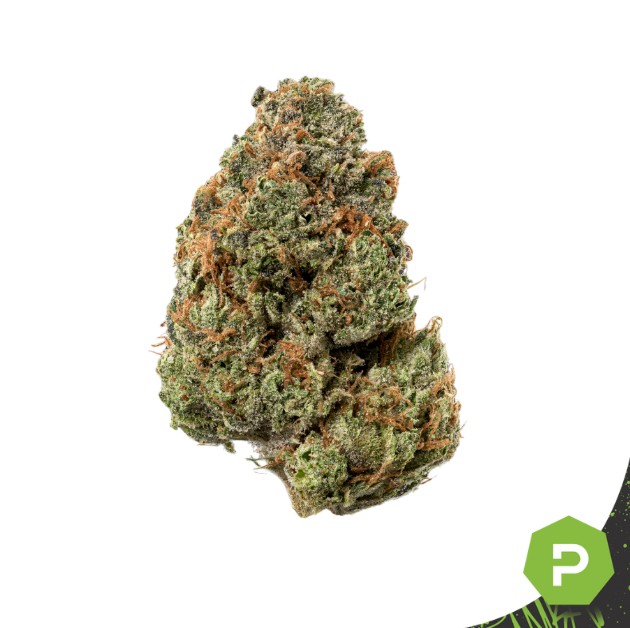 Photograph of product: Fat Pack Prepackaged Flower | Guava Bars - 4g