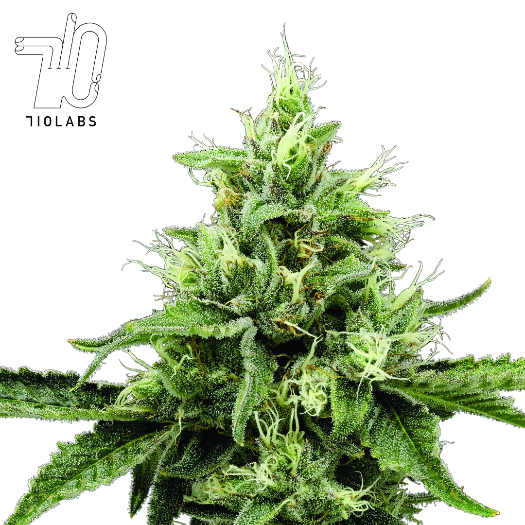 Photograph of product: Zkyscraperz #2 3.5g PP by 710 Labs