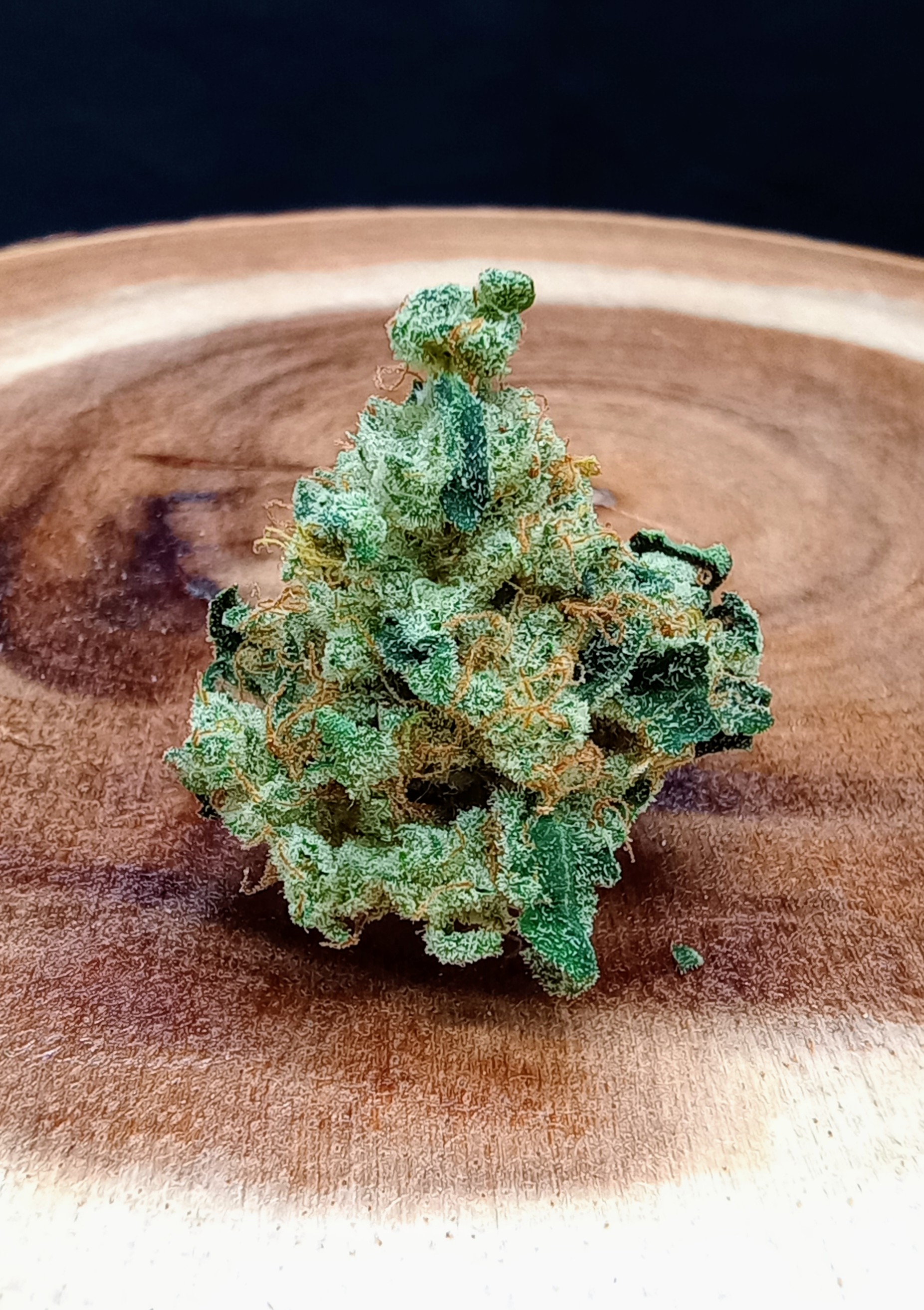 Photograph of product: Ghost Magic OG - 33.5g