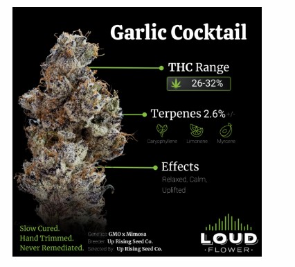 Photograph of product: Garlic Cocktail | 3.5g | Michigan Loud Flower Farms