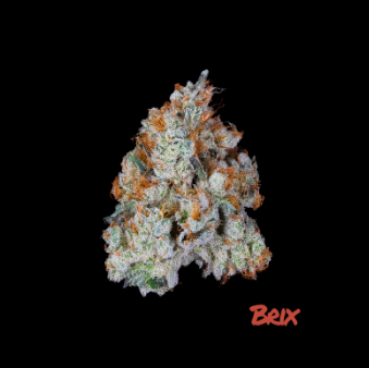 Photograph of product: Brix Oui'd Whole Flower Chem D (H) 00314 - 3.5g