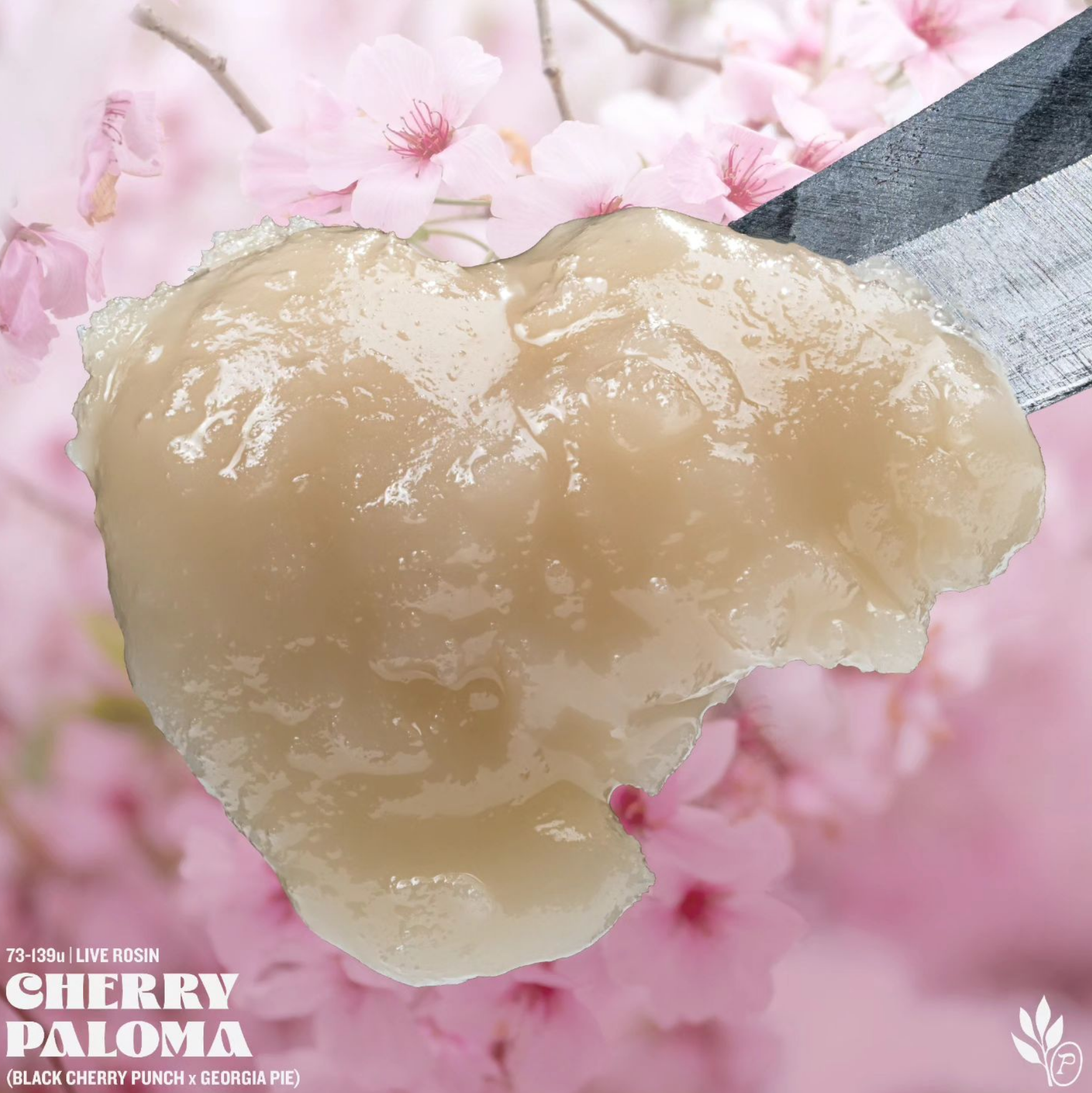 Photograph of product: Peachy au chocolat & Co - Cherry Paloma Live Rosin 3.5g