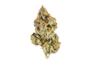 Photograph of product: OG Gardens - Lemon Cherry Gelato (20%) - 1/8 - 3.5g