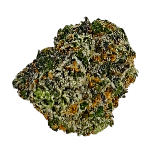 Photograph of product: Ghostbudsters Farm Black Scottie - 28g