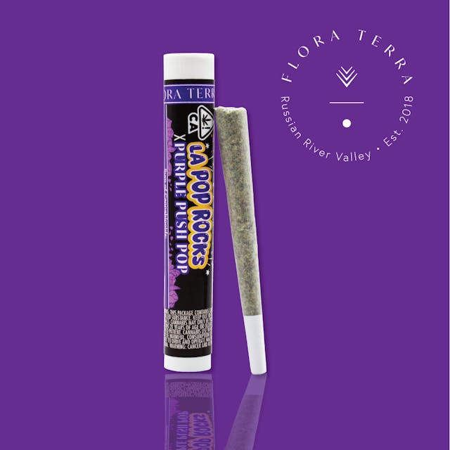 Photograph of product: LA Pop Rocks x Purple Push Pop 1g - 