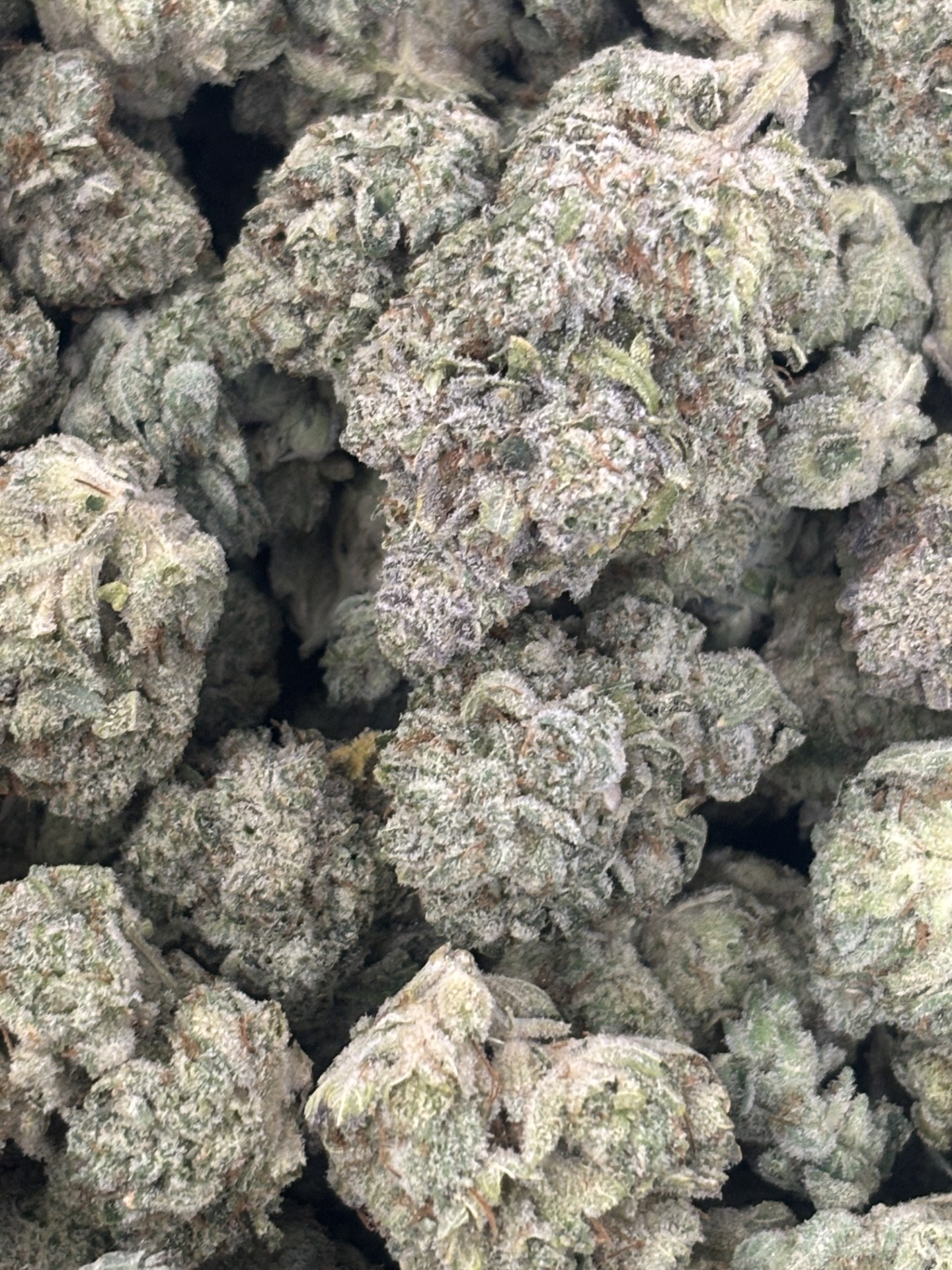 Photograph of product: Gorilla Glue #5 (H-I) 27% - 28g