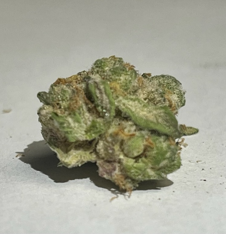 Photograph of product: Tzunami | Pro Gro - 28g