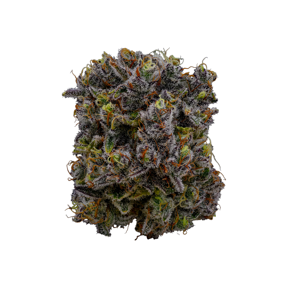 Photograph of product: GDF: Flower | Blackberry Moonshine Bx1 | 3.5g