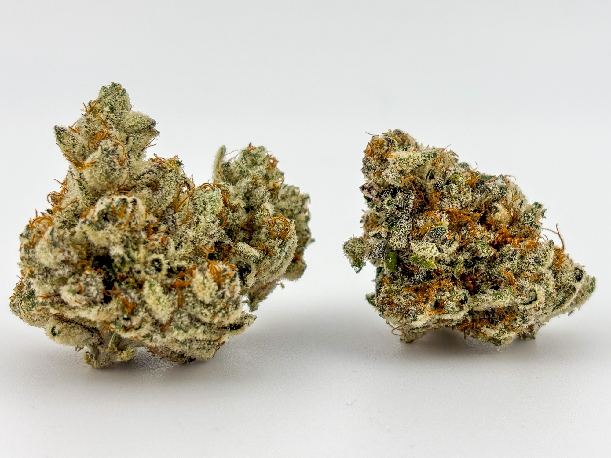 Photograph of product: Focus North | Flower [I] | Freezer Jam